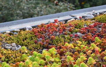 the cost of Altmover green roof installation