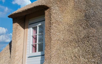 Altmover thatch roof disadvantages